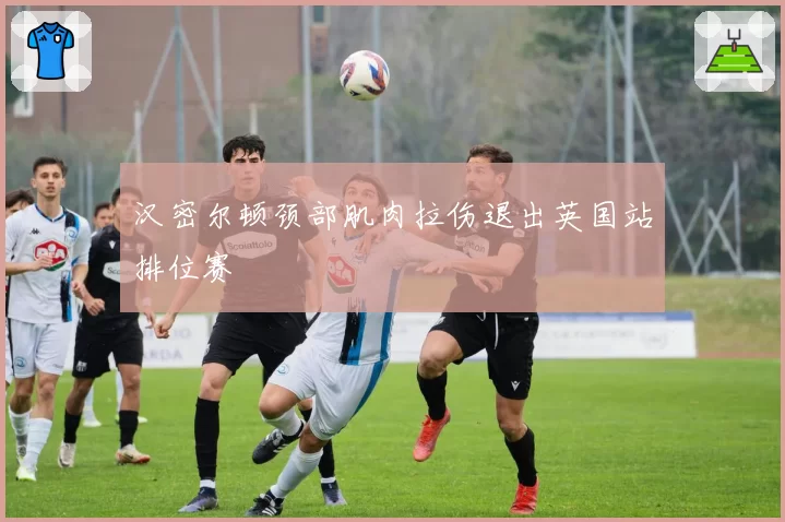 汉密尔顿颈部肌肉拉伤退出英国站排位赛