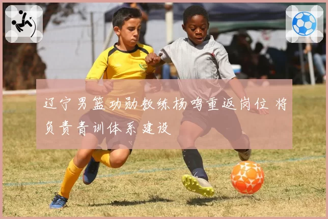 辽宁男篮功勋教练杨鸣重返岗位 将负责青训体系建设